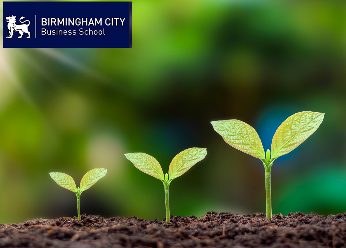 Business breakfast networking event: examining net zero